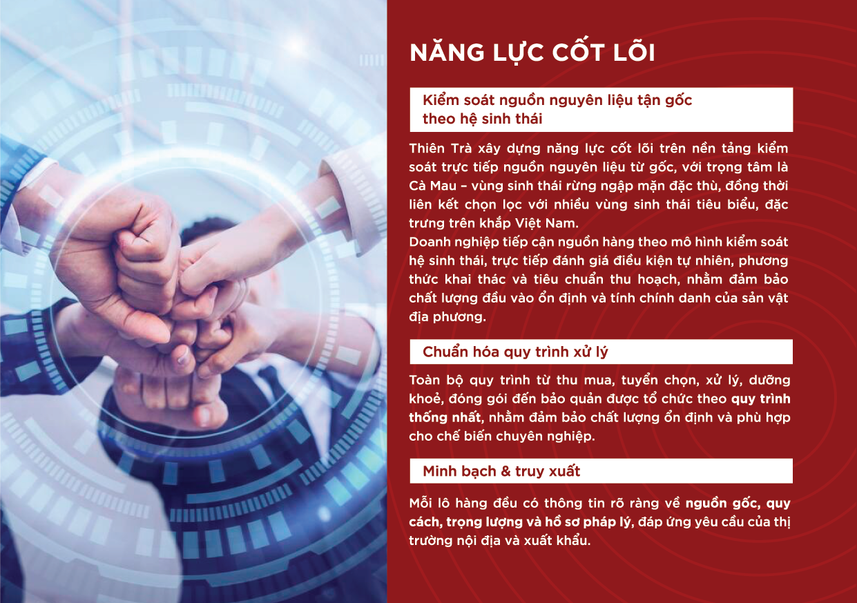 Hình ảnh Thiên Trà